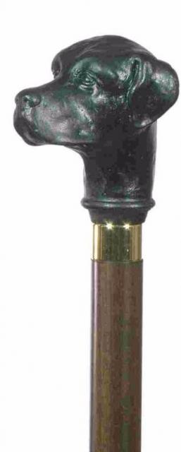 Labrador Retriever Cane - Black & Brown